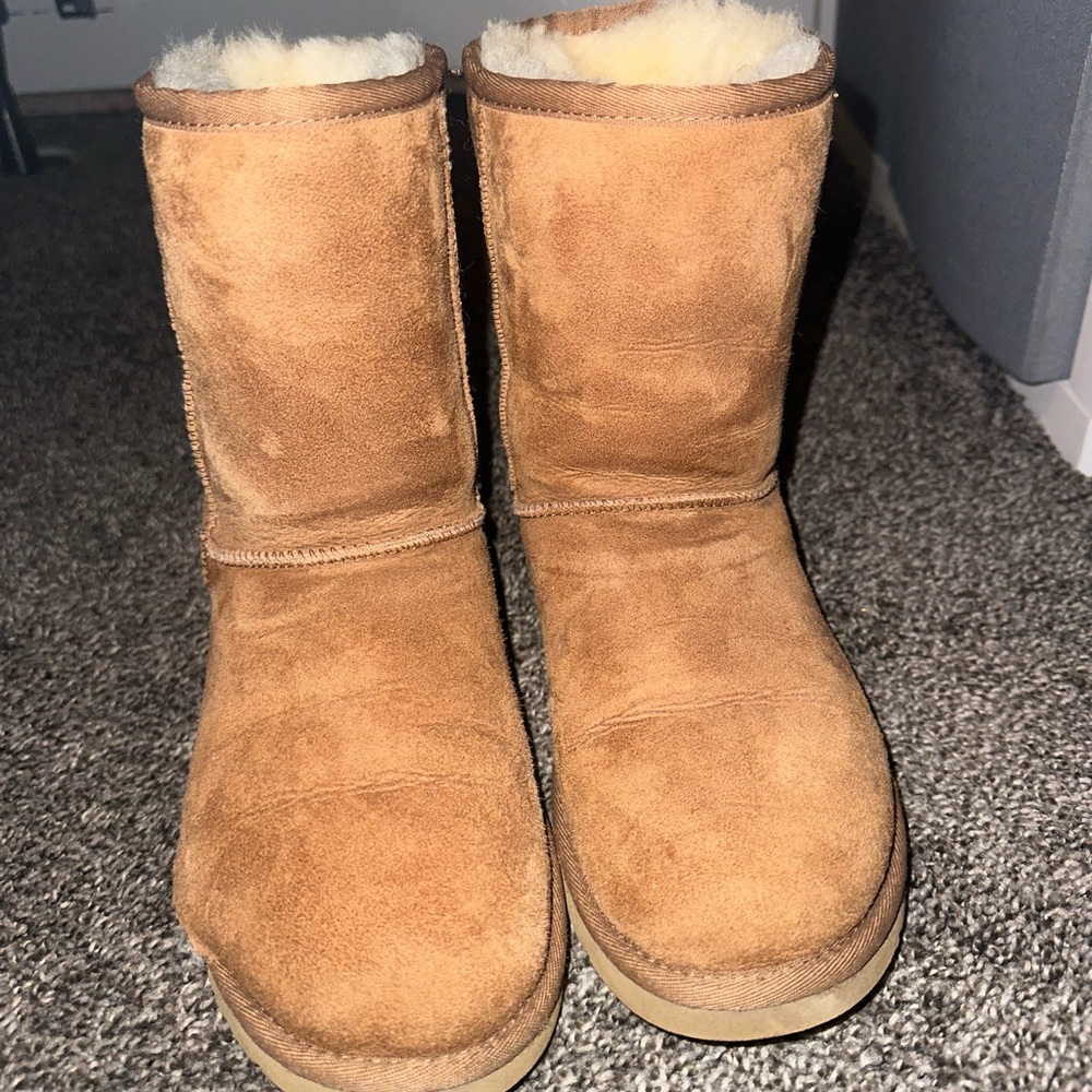 CLASSIC SHORT UGG (CHESTNUT) - Picture 2 of 8